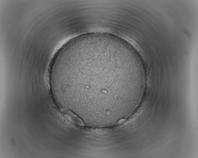 X0000114591022200911091252