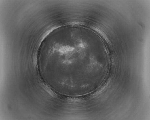 X0000114591023200911091252