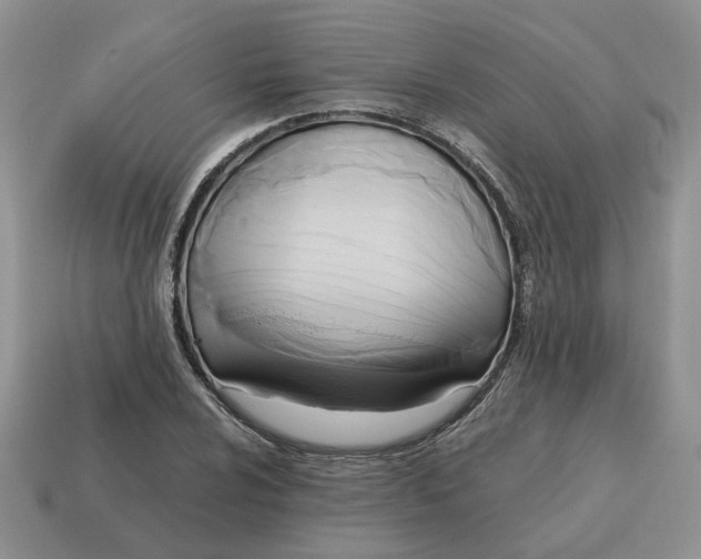 X0000114591024200911091252