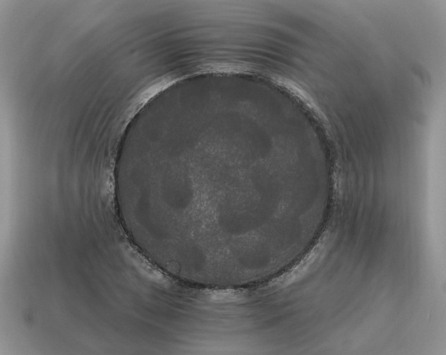 X0000114591025200911091252