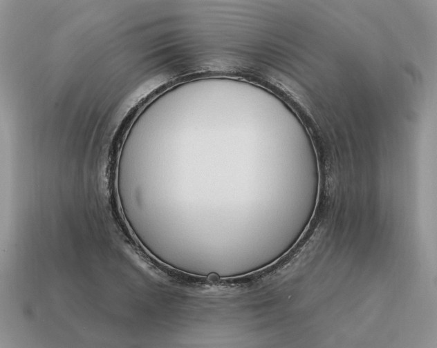 X0000114591026200911091252