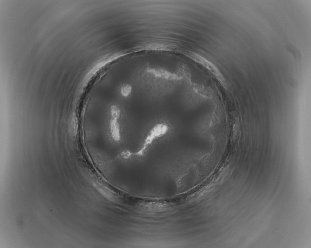 X0000114591027200911091252