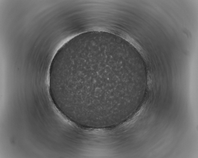 X0000114591028200911091252