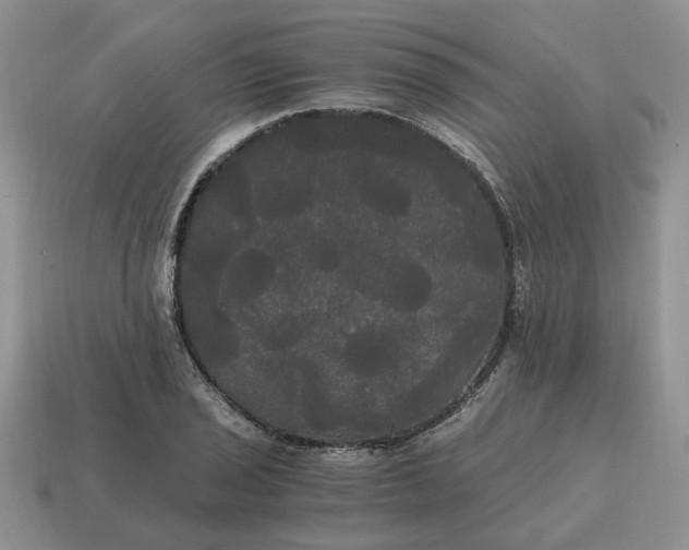 X0000114591029200911091252