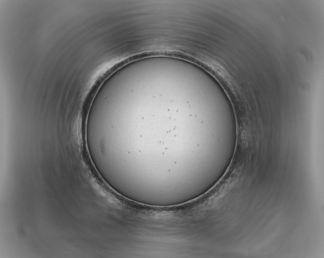 X0000114591030200911091252