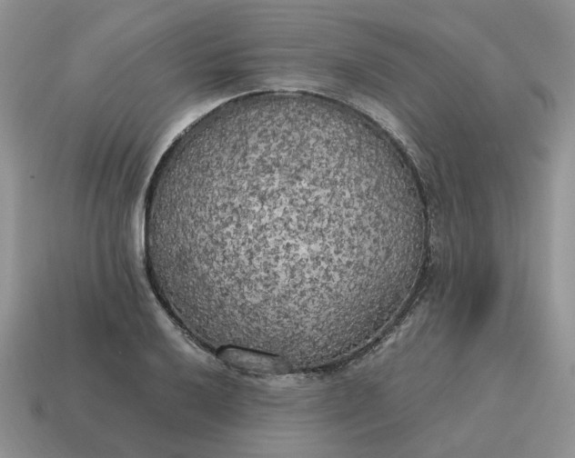 X0000114591032200911091252