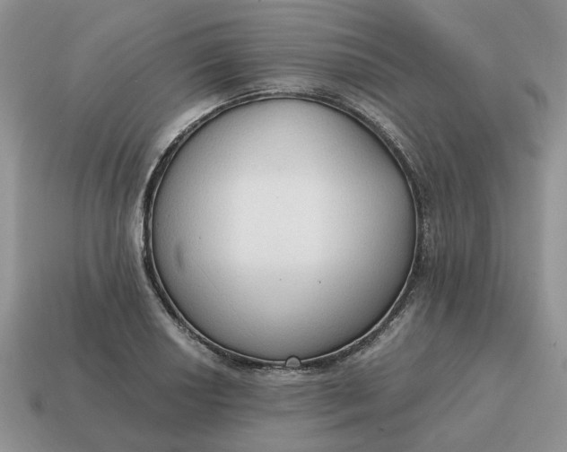 X0000114591034200911091252