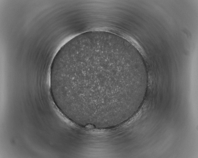 X0000114591036200911091252