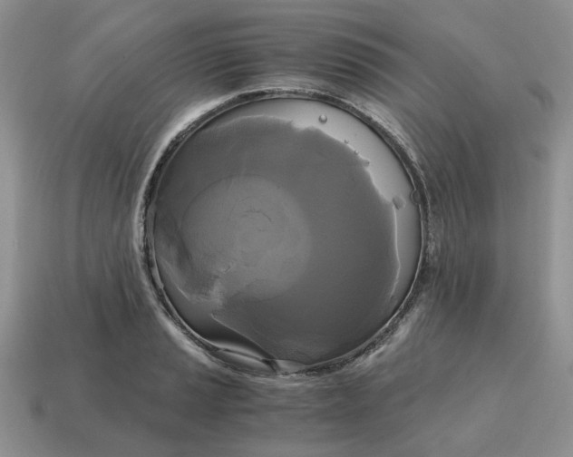 X0000114591037200911091252