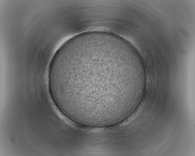 X0000114591038200911091252