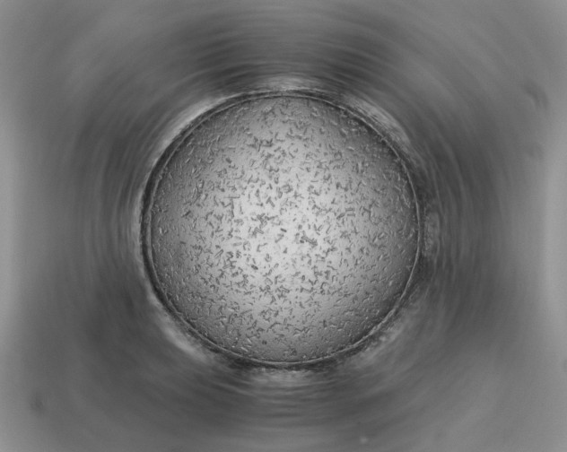 X0000114591039200911091252