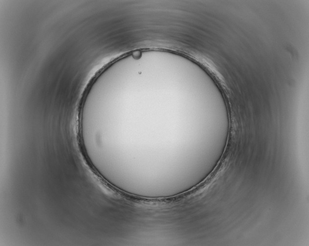 X0000114591040200911091253