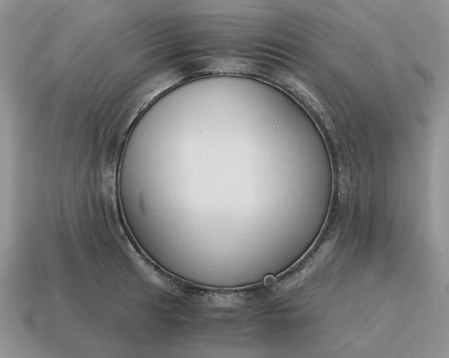 X0000114591041200911091253