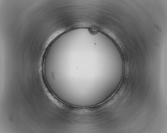 X0000114591042200911091253