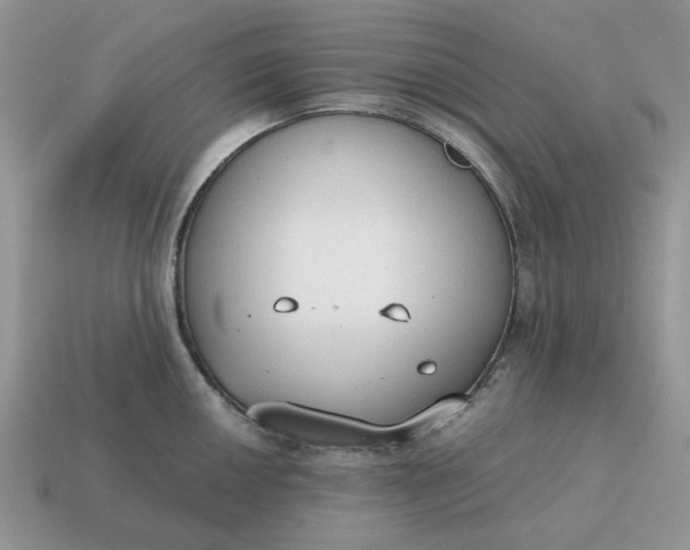 X0000114591050200911091253