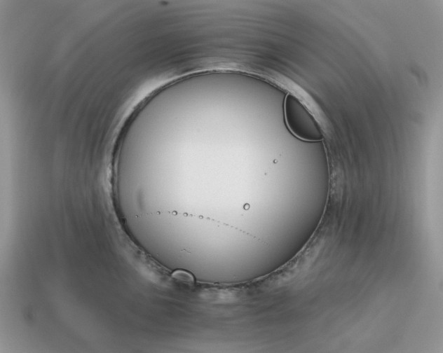 X0000114591051200911091253