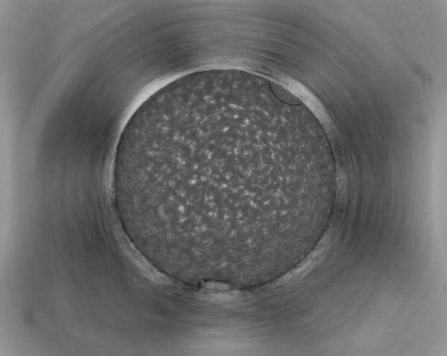 X0000114591052200911091253