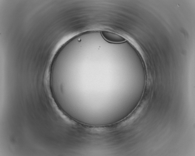 X0000114591053200911091253