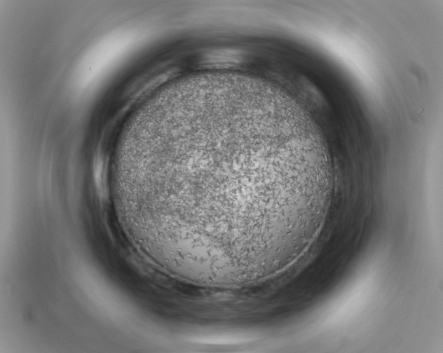 X0000114591054200911091253