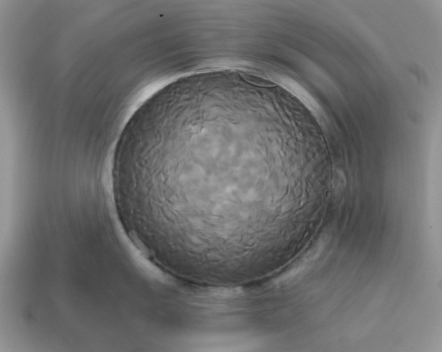 X0000114591055200911091253