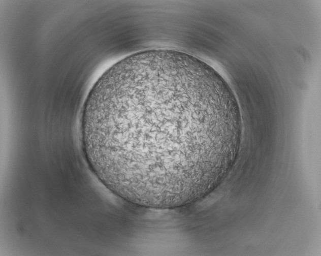 X0000114591056200911091253