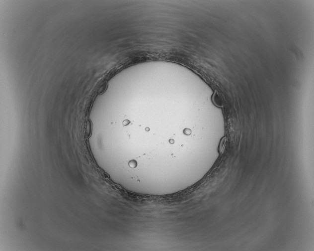 X0000114591057200911091252