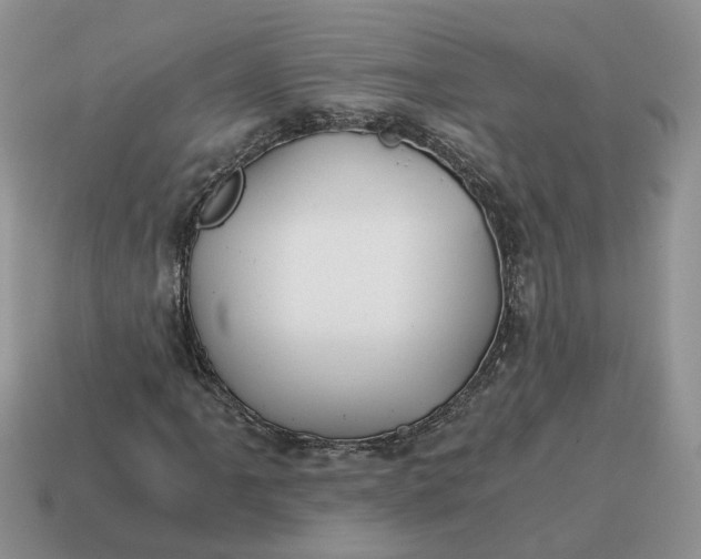 X0000114591061200911091252