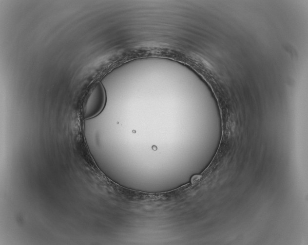 X0000114591062200911091252