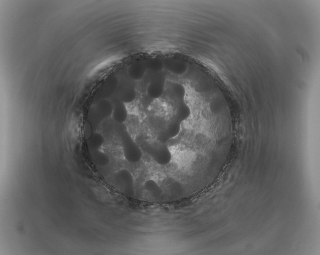 X0000114591063200911091252