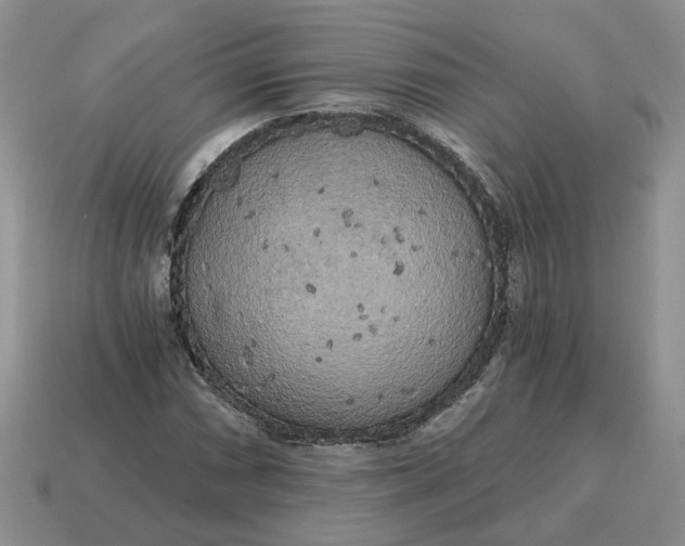 X0000114591066200911091252