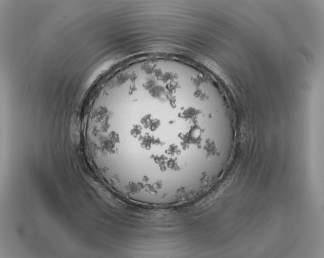 X0000114591067200911091252