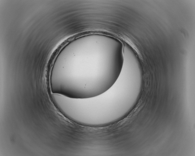 X0000114591068200911091252