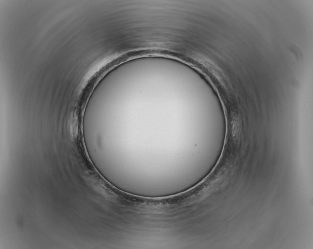 X0000114591069200911091252