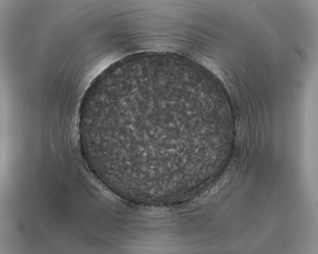 X0000114591071200911091252