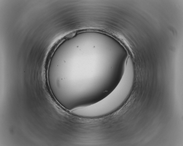 X0000114591072200911091252