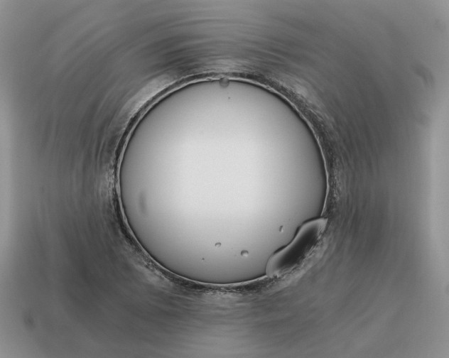 X0000114591073200911091252