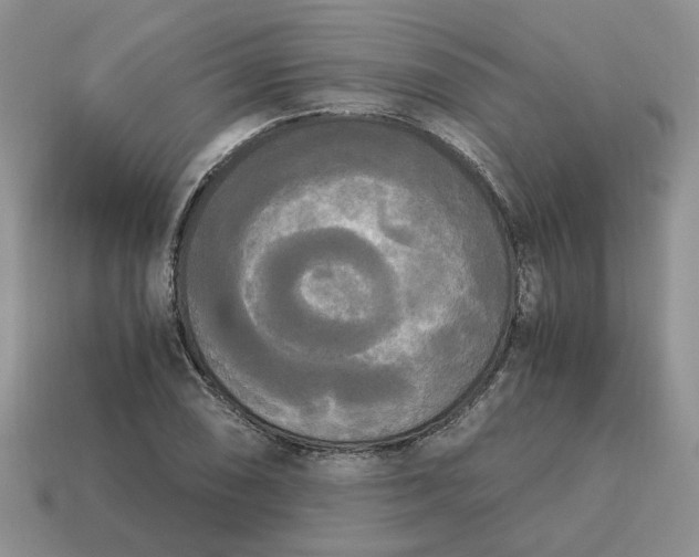 X0000114591074200911091252