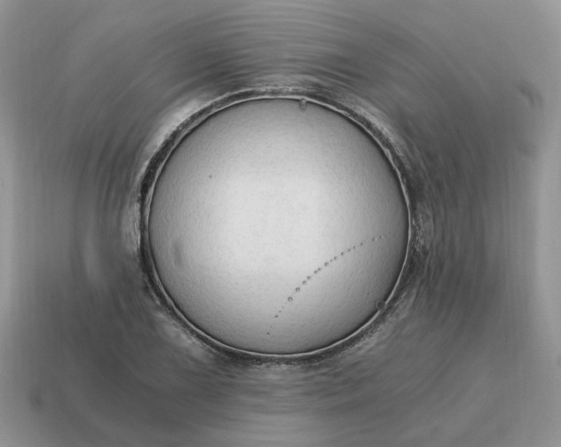 X0000114591075200911091252