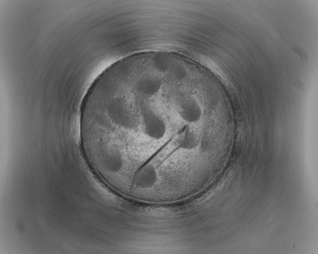 X0000114591079200911091252