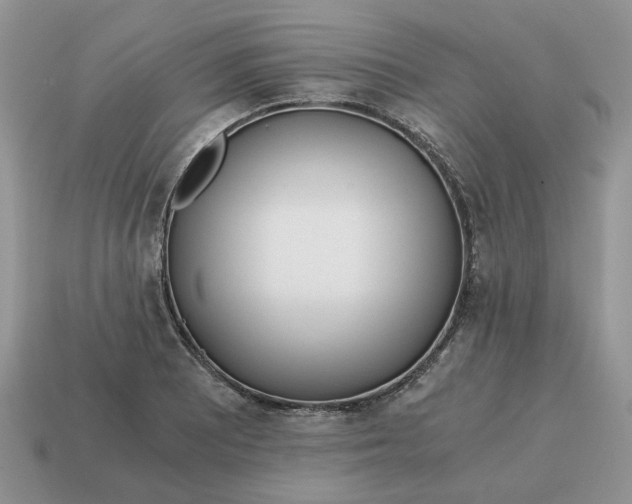 X0000114591081200911091252