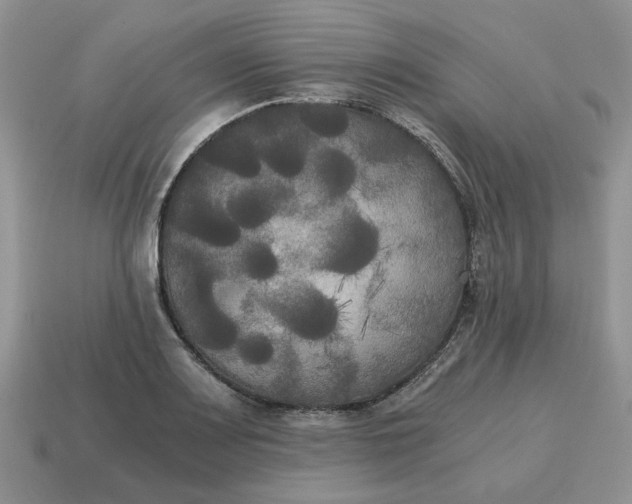 X0000114591083200911091252