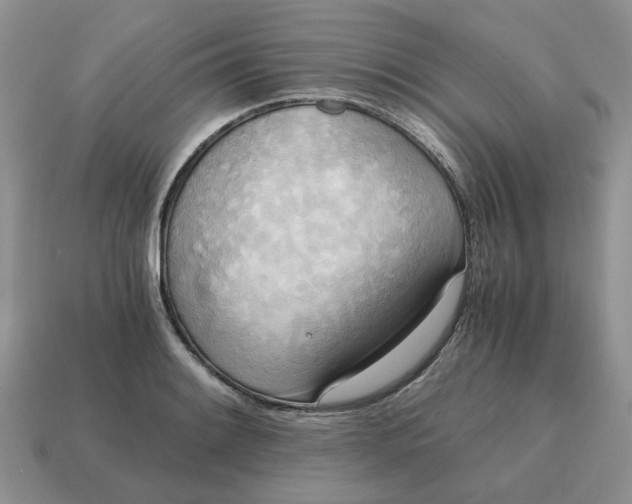 X0000114591084200911091252