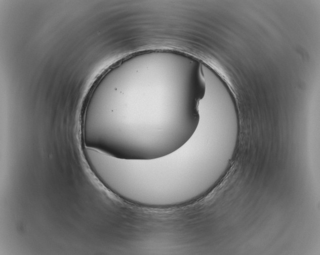 X0000114591088200911091252