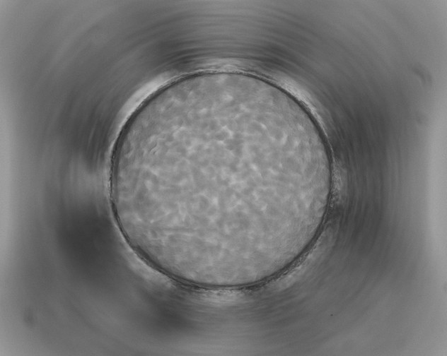 X0000114591090200911091252