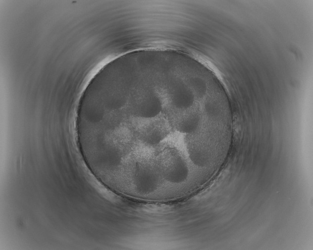 X0000114591091200911091252