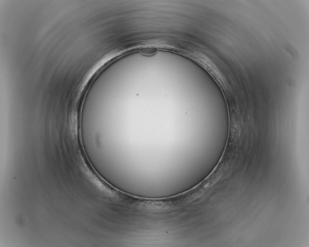 X0000114591092200911091252