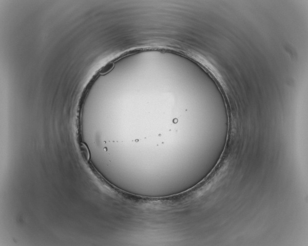 X0000114591093200911091252