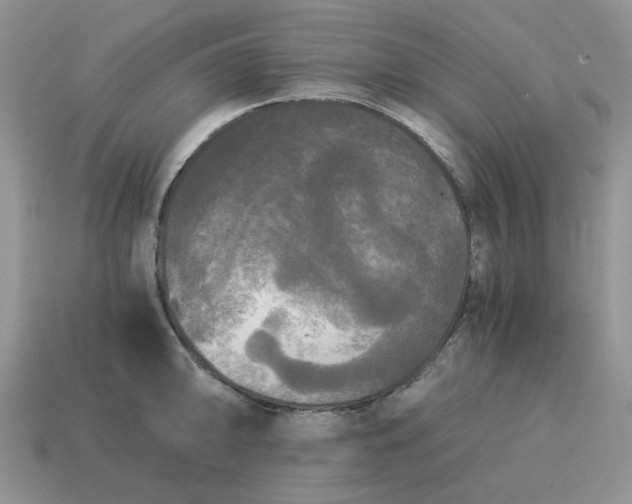 X0000114591094200911091252