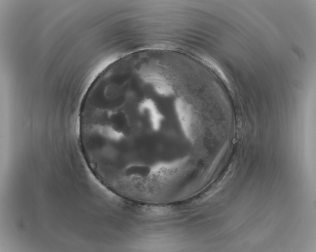 X0000114591095200911091252