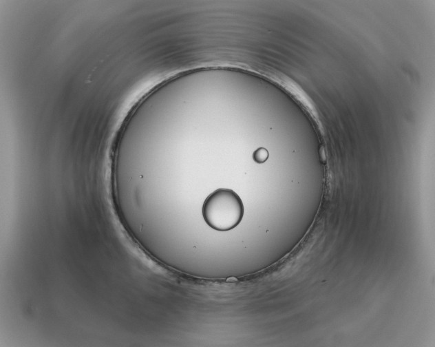 X0000114591096200911091252